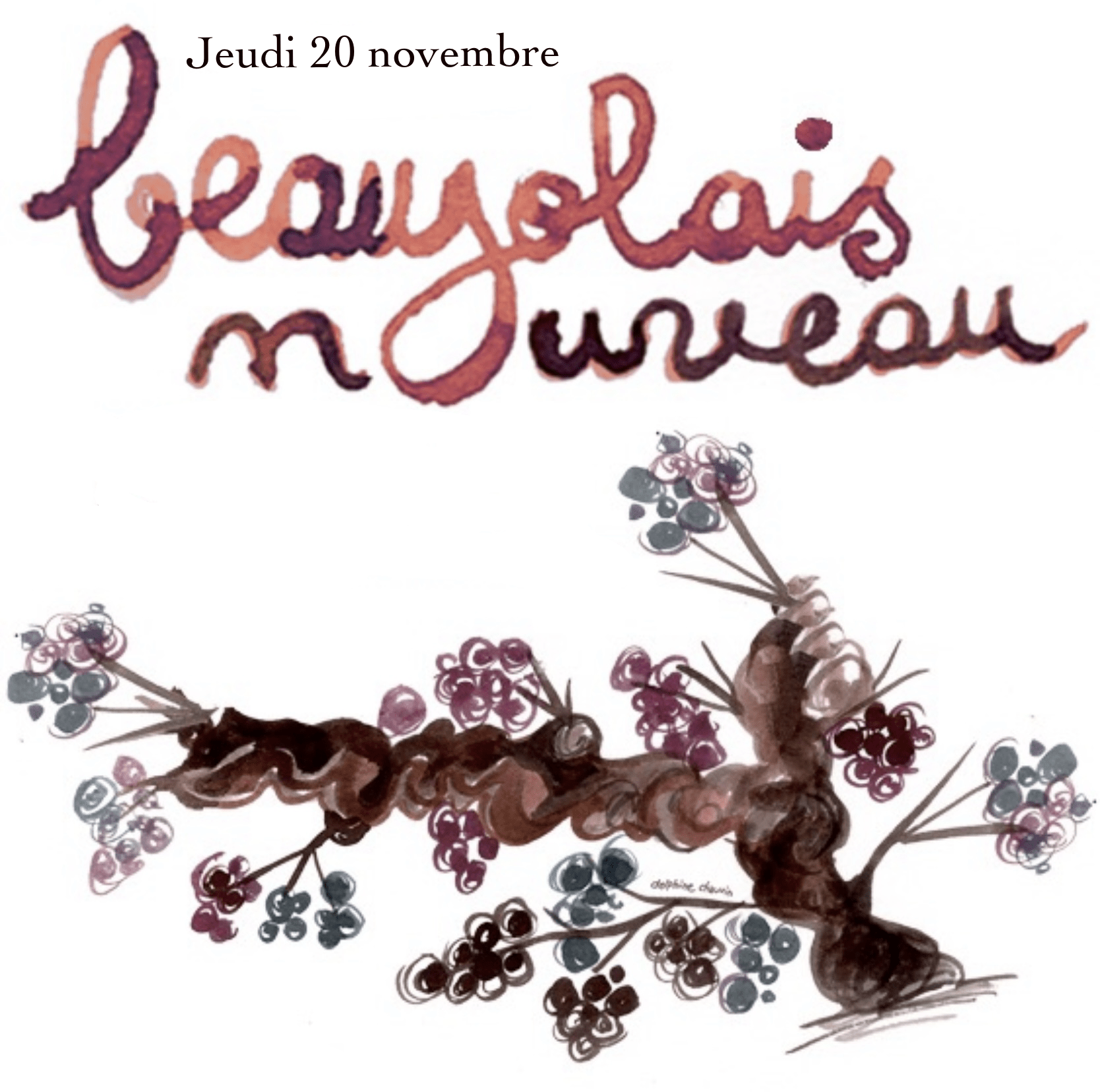 beaujolais nouveau