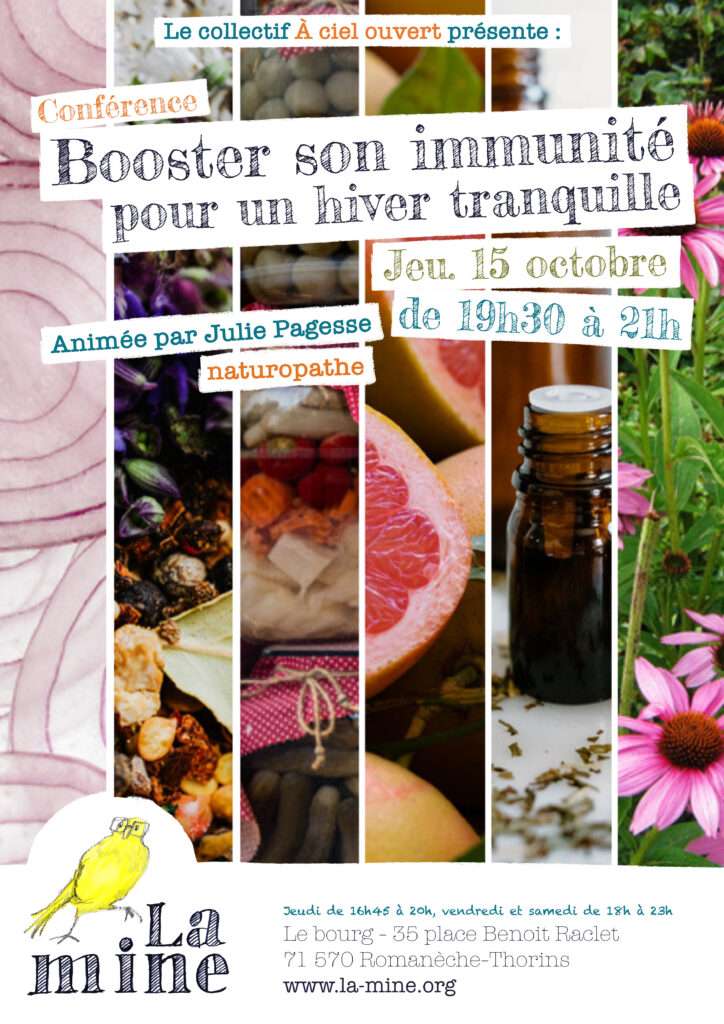 Affiche Julie Pagesse